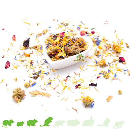 Miska na karmę lub na wodę Białe Serce 8 cm