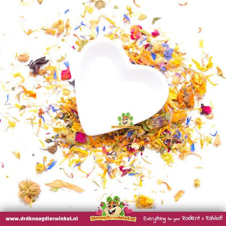 Voerbakje of Waterbakje Wit Hartje 8 cm