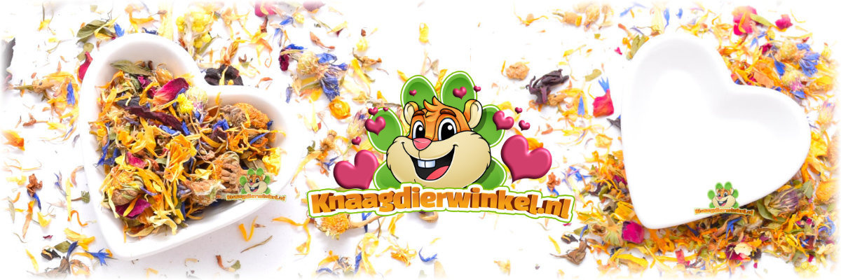 banner Voerbakje of Waterbakje Wit Hartje 8 cm - Geschikt voor muizen, dwerghamsters, hamsters, gerbil, rat, cavia, konijn, chinchilla, degoe | met bloemen