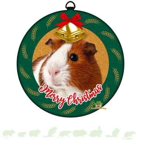 Weihnachtskugel Dose Meerschweinchen 10 cm