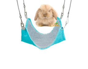 Hamacas para conejos