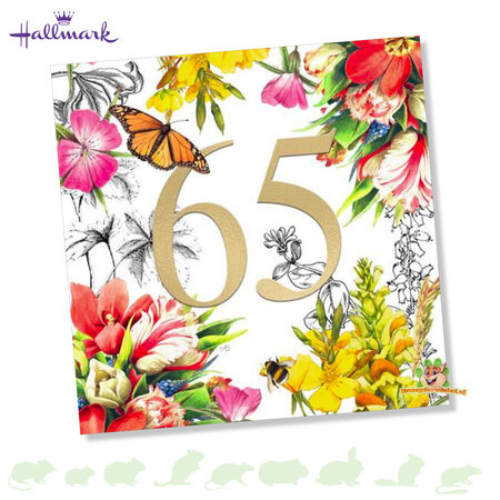 Hallmark "65" Card Marjolein Bastin