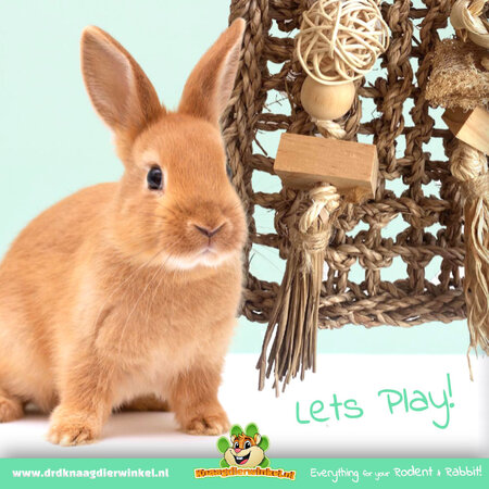 Trixie Seagrass Nibble & Climb Wall 30 cm