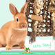 Trixie Seegras-Knabber- und Kletterwand 30 cm