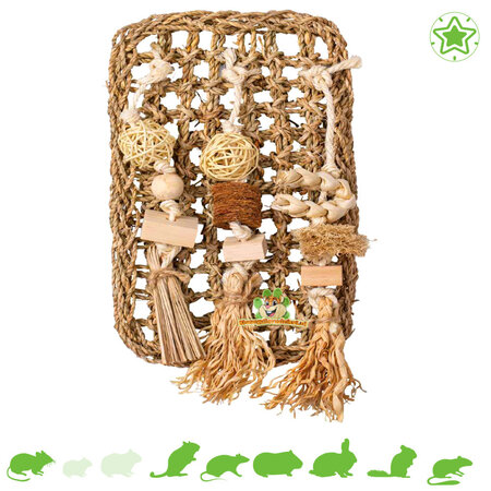 Trixie Mur d'escalade et de grignotage 30 cm