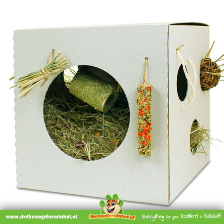 JR Farm Plastic-Free Active-Box for Rodents & Rabbits