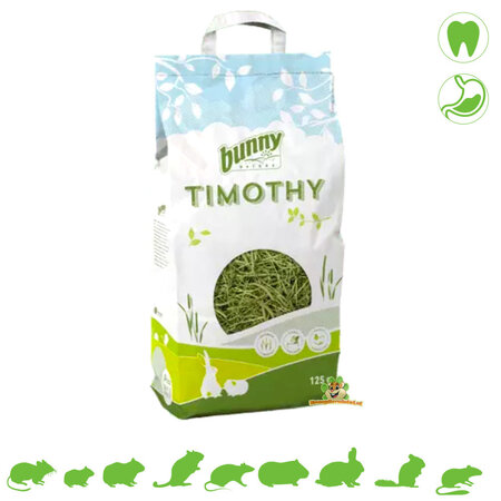 Bunny Nature Niemiecki Timothy Hooi