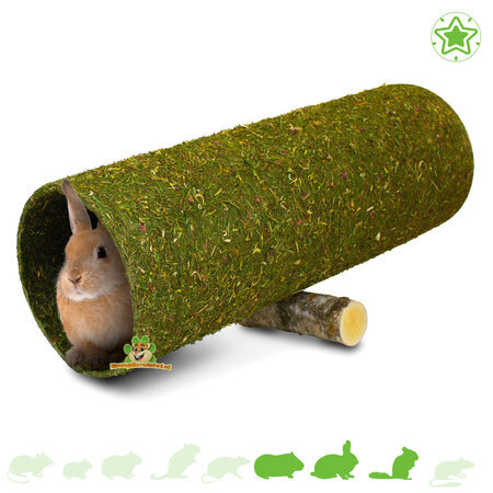 JR Farm Tunnel de fleurs XXL balançoire Wap 60 cm