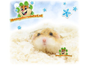 Gerbil Winterproducten