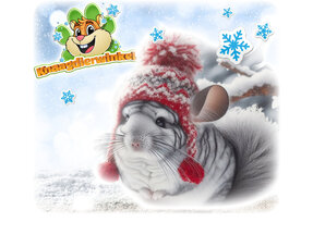 Chinchilla Winter products