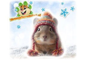 Degu Winterprodukte