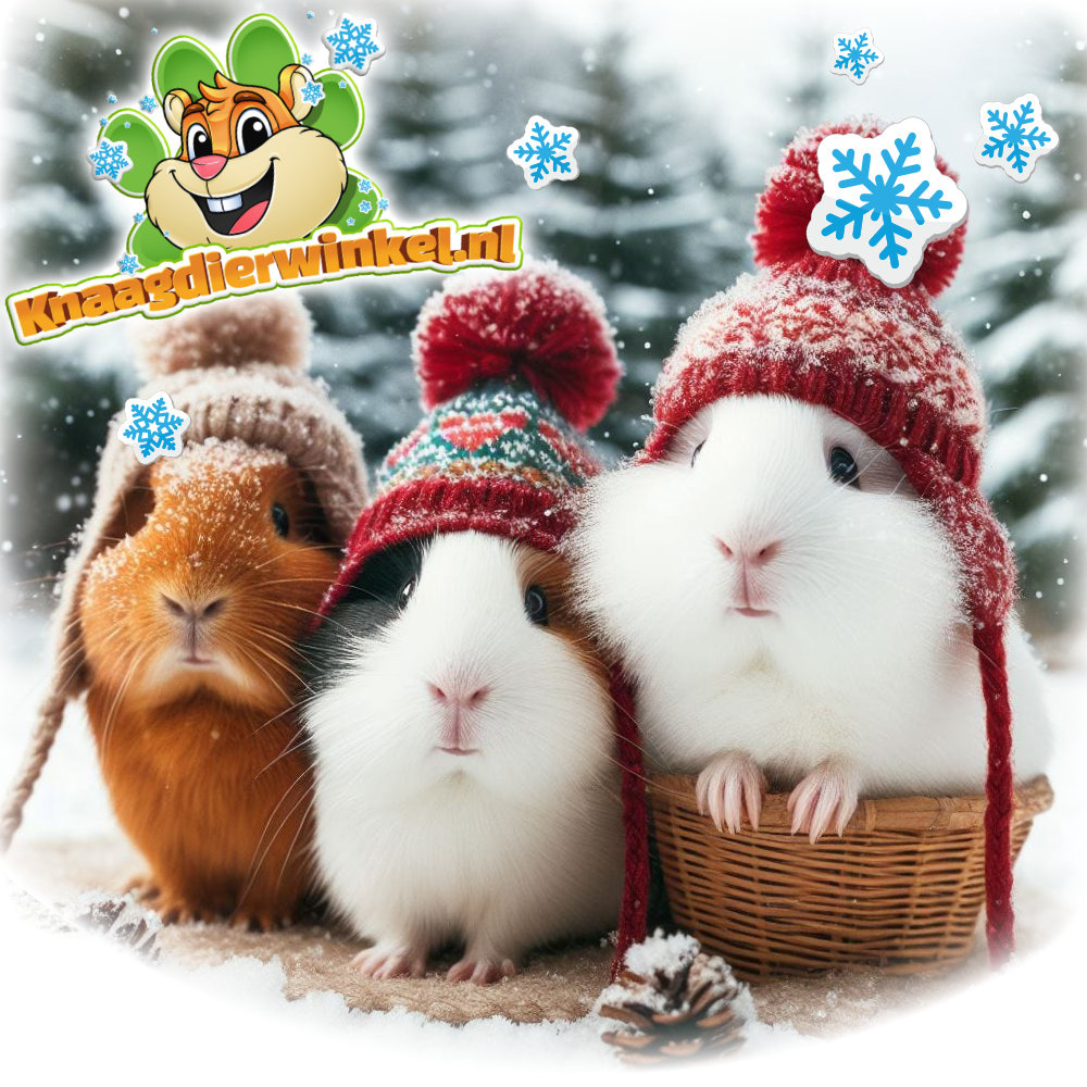winter knaagdier