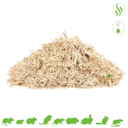 The Natural Pet Brand ¡Cobertura de suelo de lino para roedores y conejos!