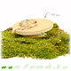 Trixie Wooden Running Disc with cork