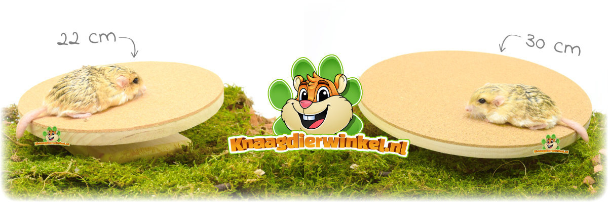 banner Trixie Houten Knaagdier Running Disc met kurk - Loopwiel, looprad en loopschijf voor muizen, hamsters en gerbils | Natuurlijk houten loopwiel met kurken loopoppervlak | Ideaal voor dagelijkse beweging en activiteit