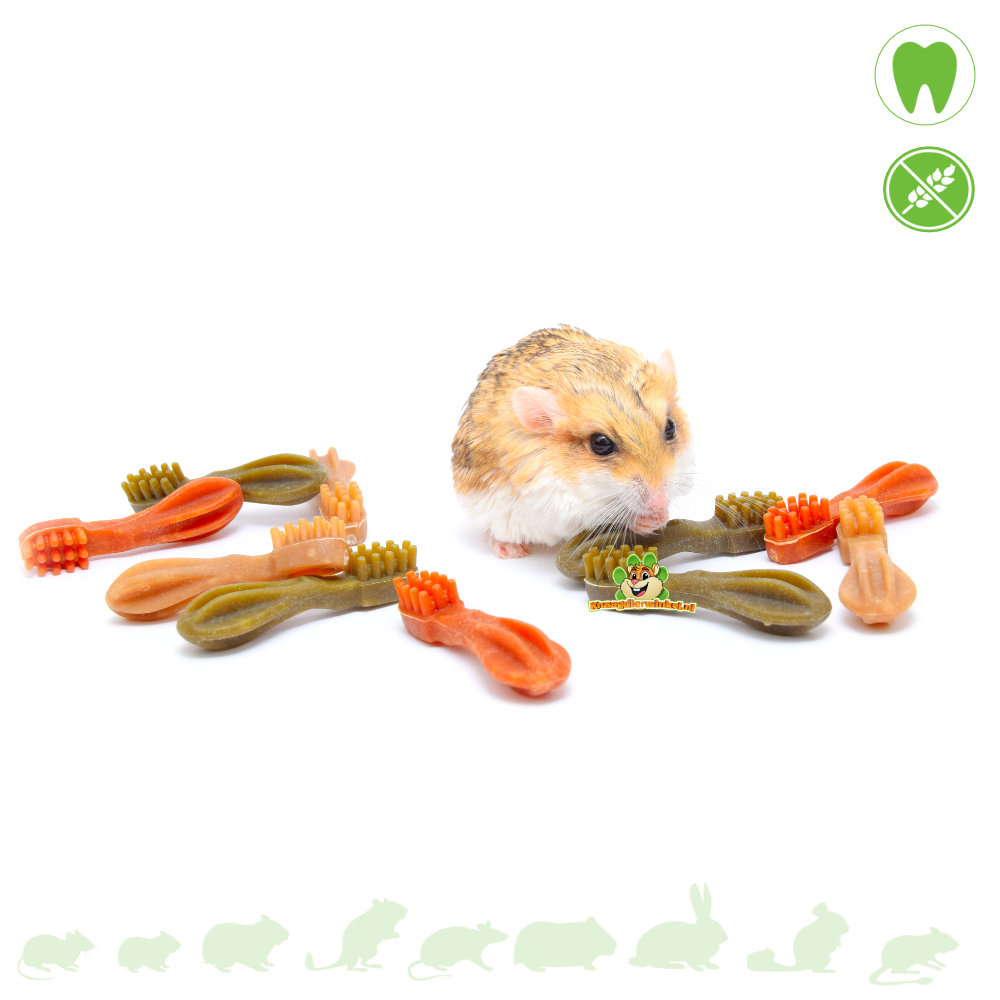Whimzees sales for hamsters