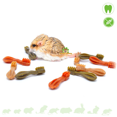 Whimzees Brosse à dents 10 pièces