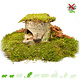 Hugro Auratus Cave Birch Wood Trunk for Small Rodents