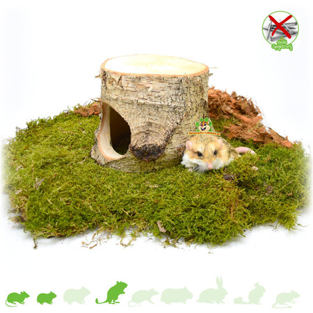 Hugro Hamsterscaping Auratus Cave Baumstamm 13 cm für Nagetiere!