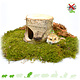 Hugro Auratus Cave Tree Trunk 13 cm for Rodents!