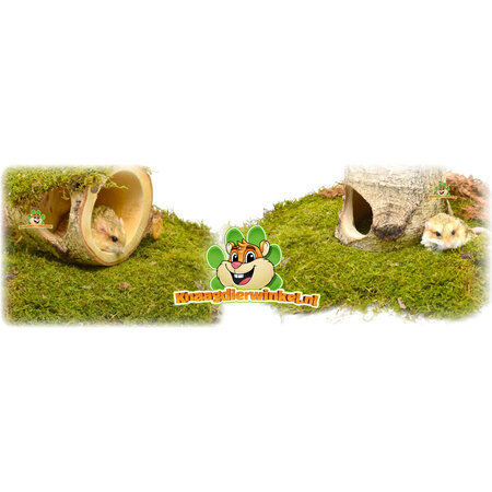 Hugro Hamsterscaping Auratus Cave Boomstam 13 cm voor Knaagdieren!