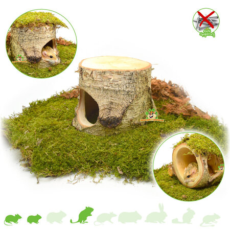 Hugro Auratus Cave Birch Wood Trunk for Small Rodents