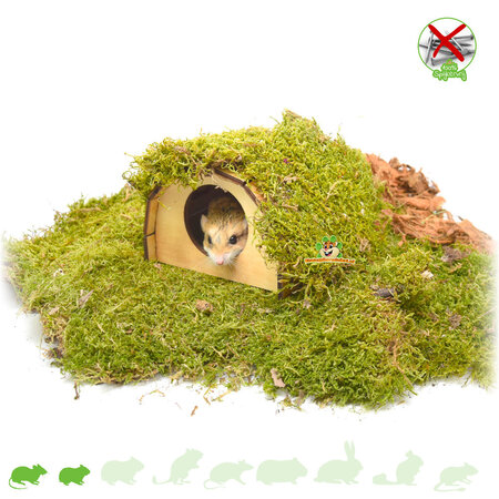 Trixie Nagelfreies Hamsterhaus aus Holz Mikkel geflammt 13 cm