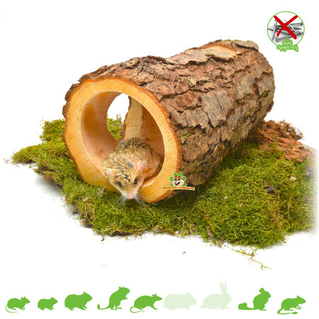 Alder Wooden Tree Trunk Tunnel for Rodents 33 cm