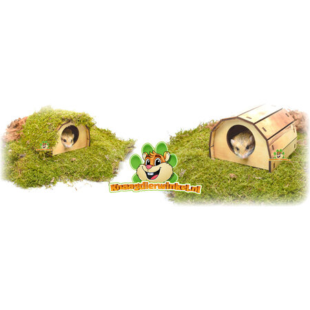 Trixie Drewniany domek dla chomików bez gwoździ Mikkel Flamed 13 cm