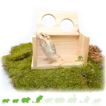 Trixie Sandbox Blank con dos entradas