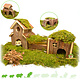 Trixie Hamsterscaping Speeltuin Frida 47 cm voor Muizen en Dwerghamsters