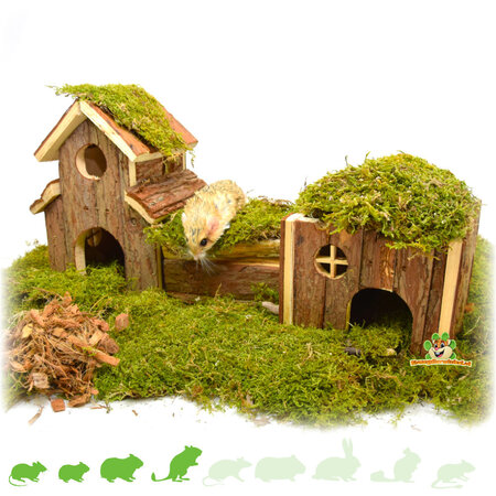 Trixie Hamsterscaping Playground Frida 47 cm for Mice and Dwarf Hamsters