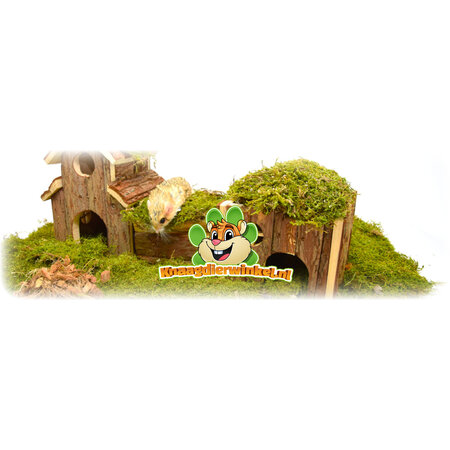 Trixie Hamsterscaping Speeltuin Frida 47 cm voor Muizen en Dwerghamsters