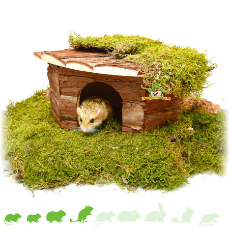 Trixie Casita de esquina Jesper de 32 cm para ratones, hámsteres y jerbos.
