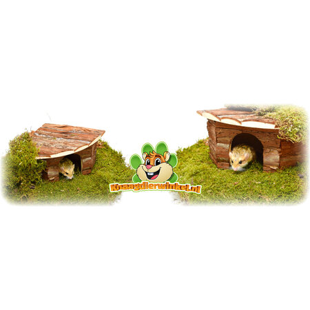Trixie Maison d'angle Jesper 32 cm pour souris, hamsters et gerbilles