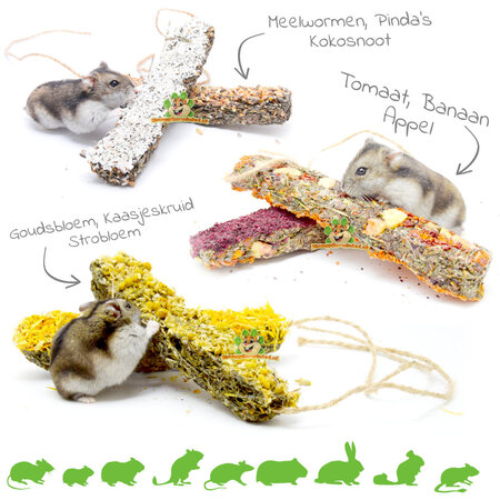 Ham-Stake Specialists Nature Stick for Rodents & Rabbits