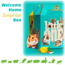 Willkommens-Zuhause-Überraschungsbox