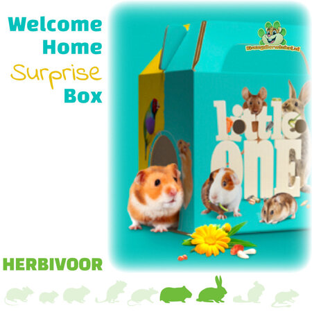 Mealberry Welcome Home Surprise Box