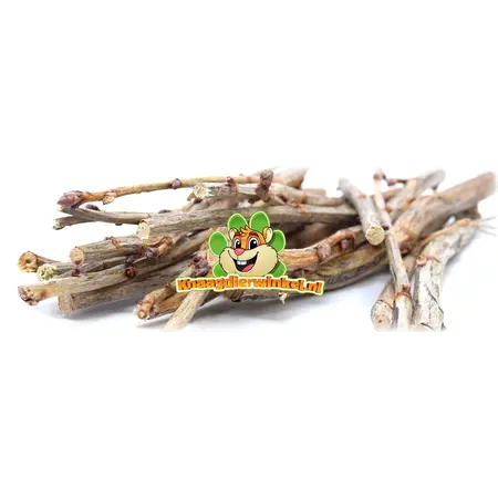 Ronger les branches de cassis