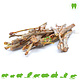 Branches de bois à mâcher au cassis pour rongeurs et lapins 60 g