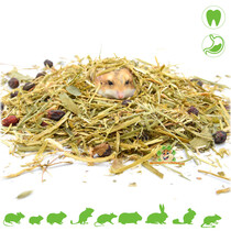 Nibble Adventure VITAL Guinea Pig 500 grams