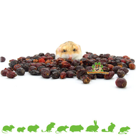 Hugro ¡Escaramujos secos enteros para roedores y conejos!