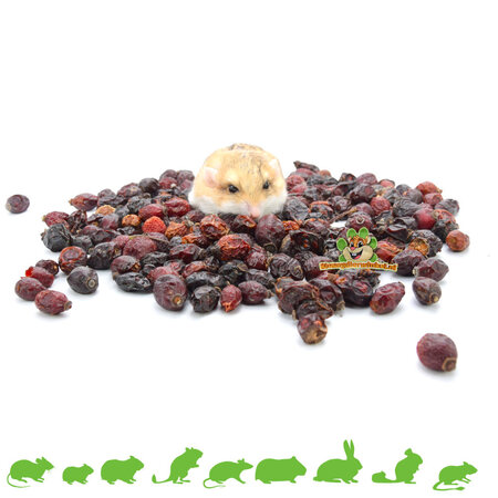 Hugro Dried Rosehips Whole for Rodents & Rabbits!