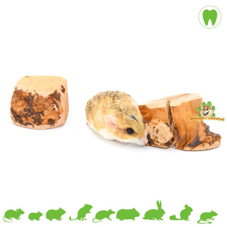 Knaagdier Kruidenier Chewing root Chewing wood from heather shrub root