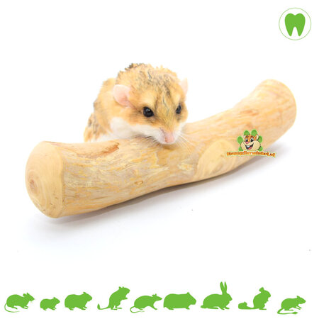Drewno do żucia Coffeewood 20 cm dla gryzoni i królików