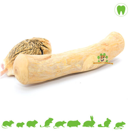 Coffeewood Knaaghout 20 cm
