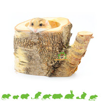 Auratus Cup Boomstam 10 cm