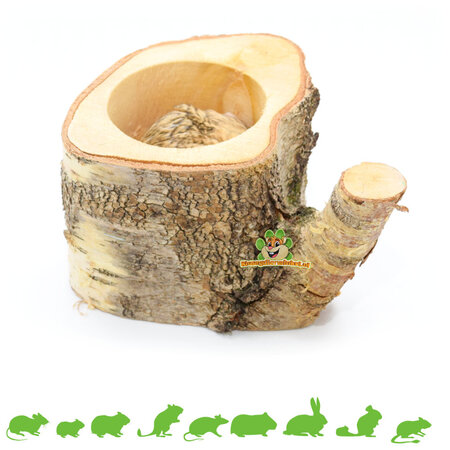 Auratus Cup Tree Trunk 10 cm for Rodents & Rabbits!