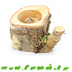 Auratus Cup Tree Trunk 10 cm for Rodents & Rabbits!