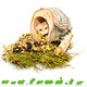 Auratus Cup Tree Trunk 10 cm for Rodents & Rabbits!